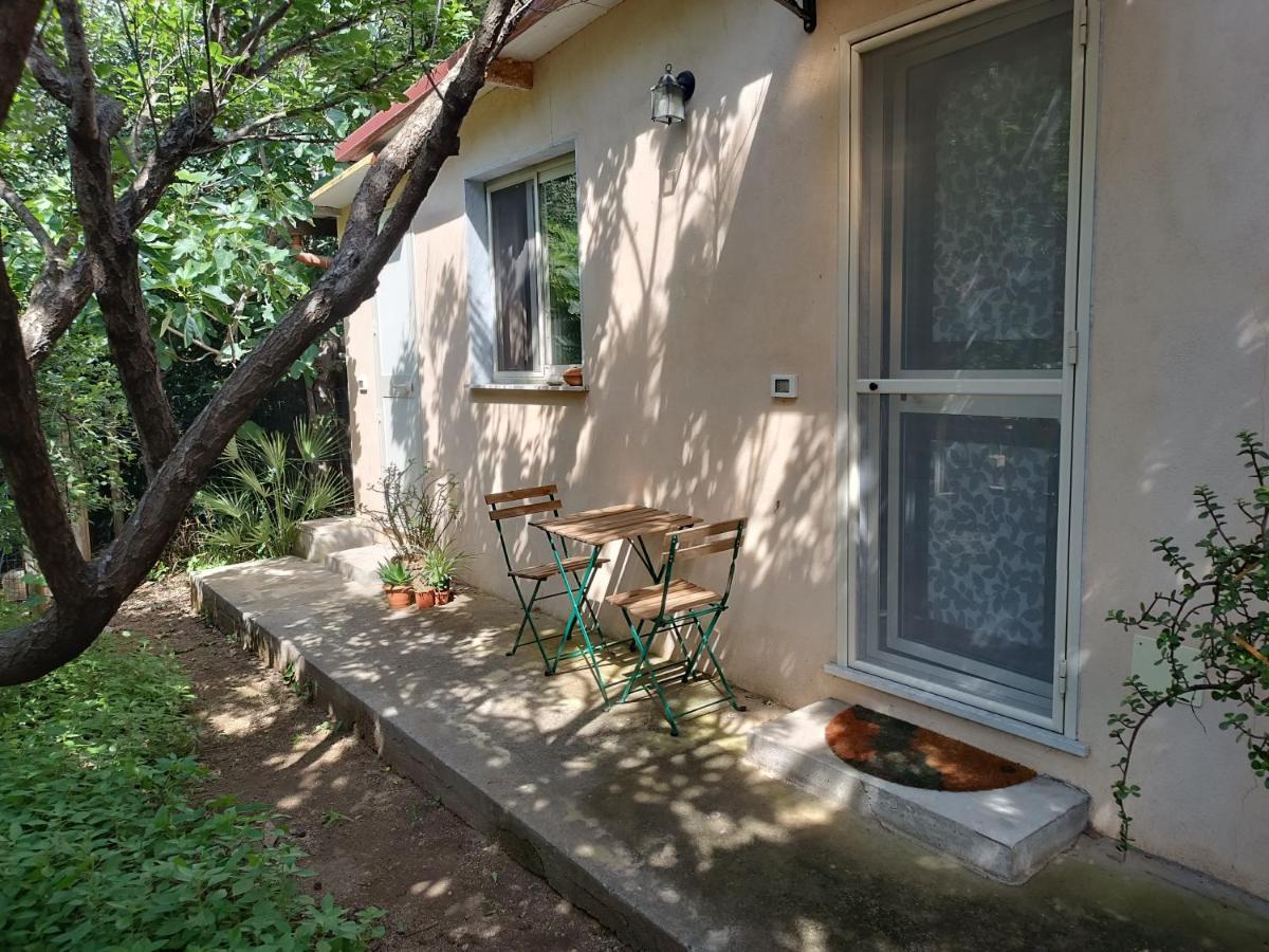 Camera Indipendente Con Bagno Immersa Nel Verde 바게리아 외부 사진